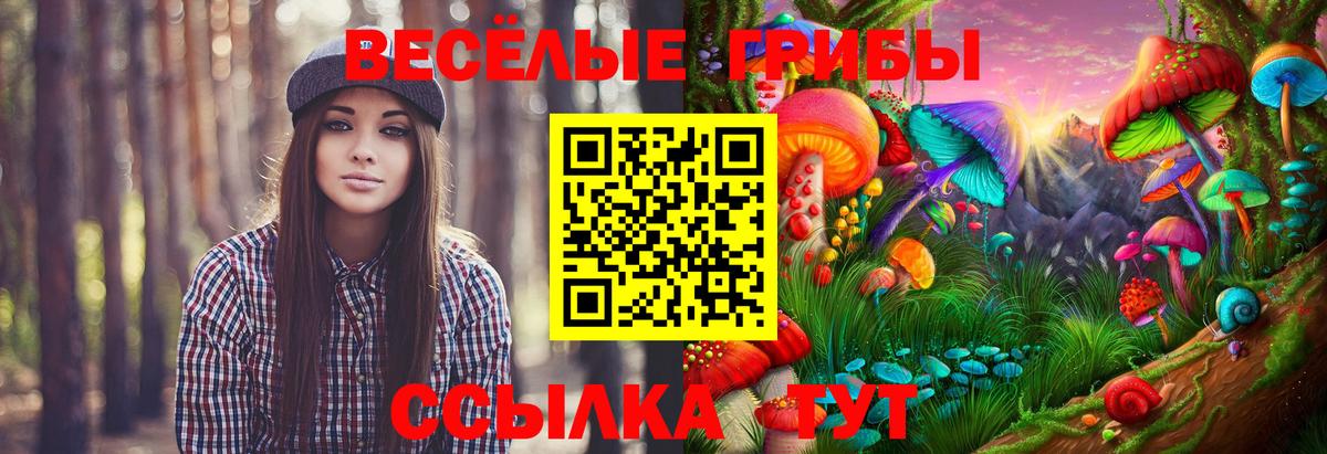 Галлюциногенные грибы мицелий  Вход с VPN  Курчатов  Псилоцибиновые грибы мухоморы 